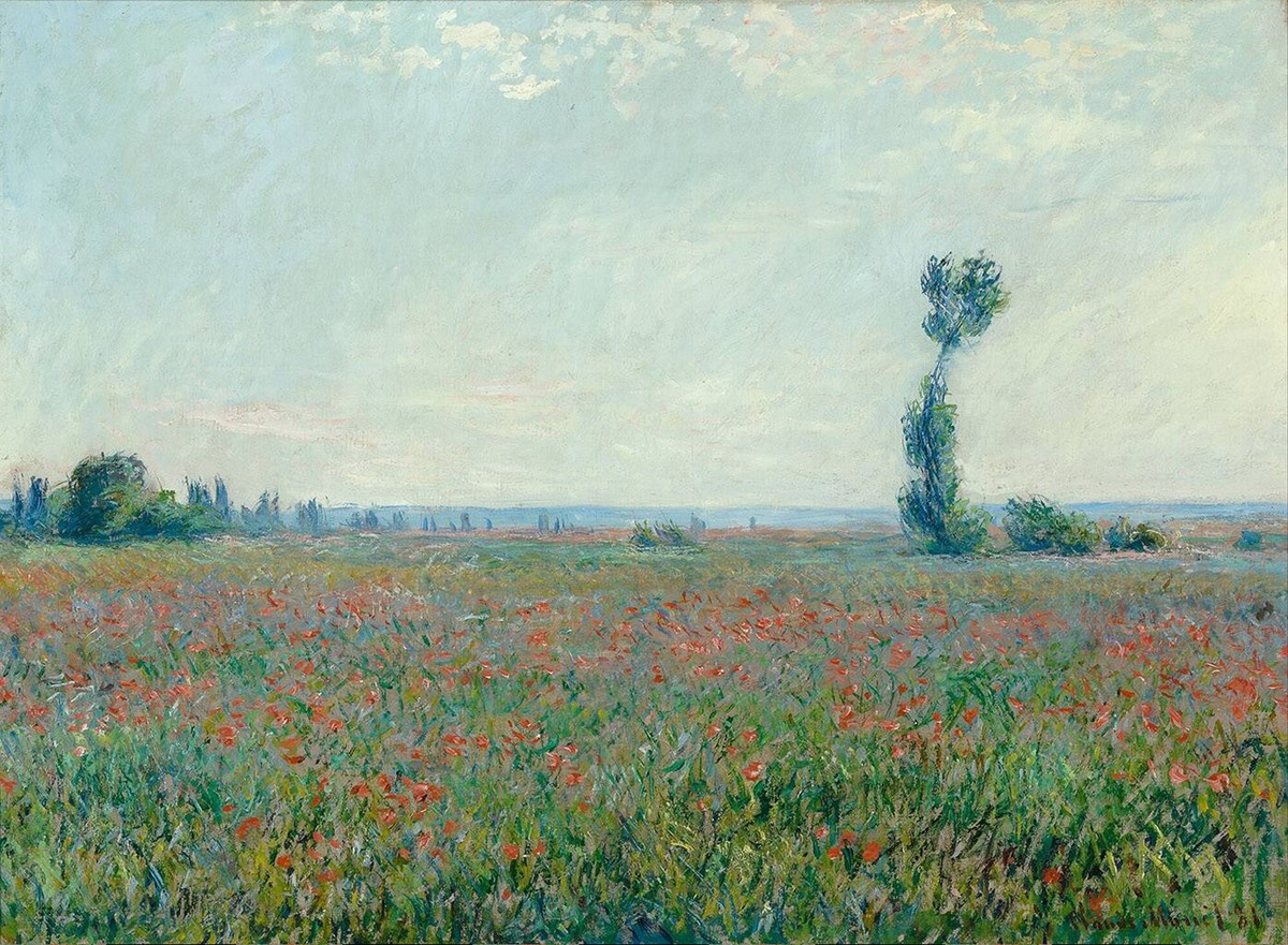 Poppy Field 1881
